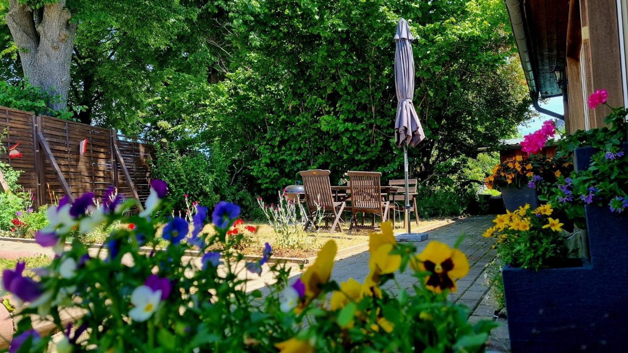 W5 - Urlaubsmagie - Wohnung Mit Grill, Terrasse & Pool Lichtenhain  Екстер'єр фото